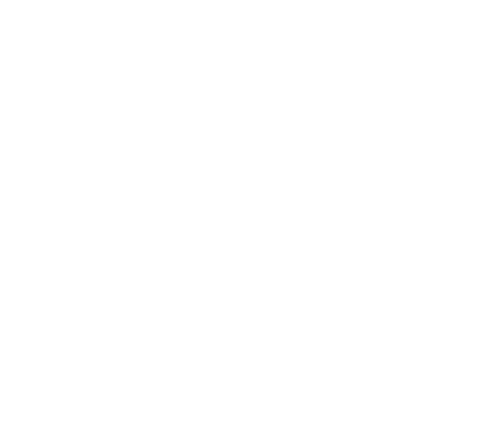 BISON Restaurant grill & pizza – burger reštaurácia v meste Michalovce